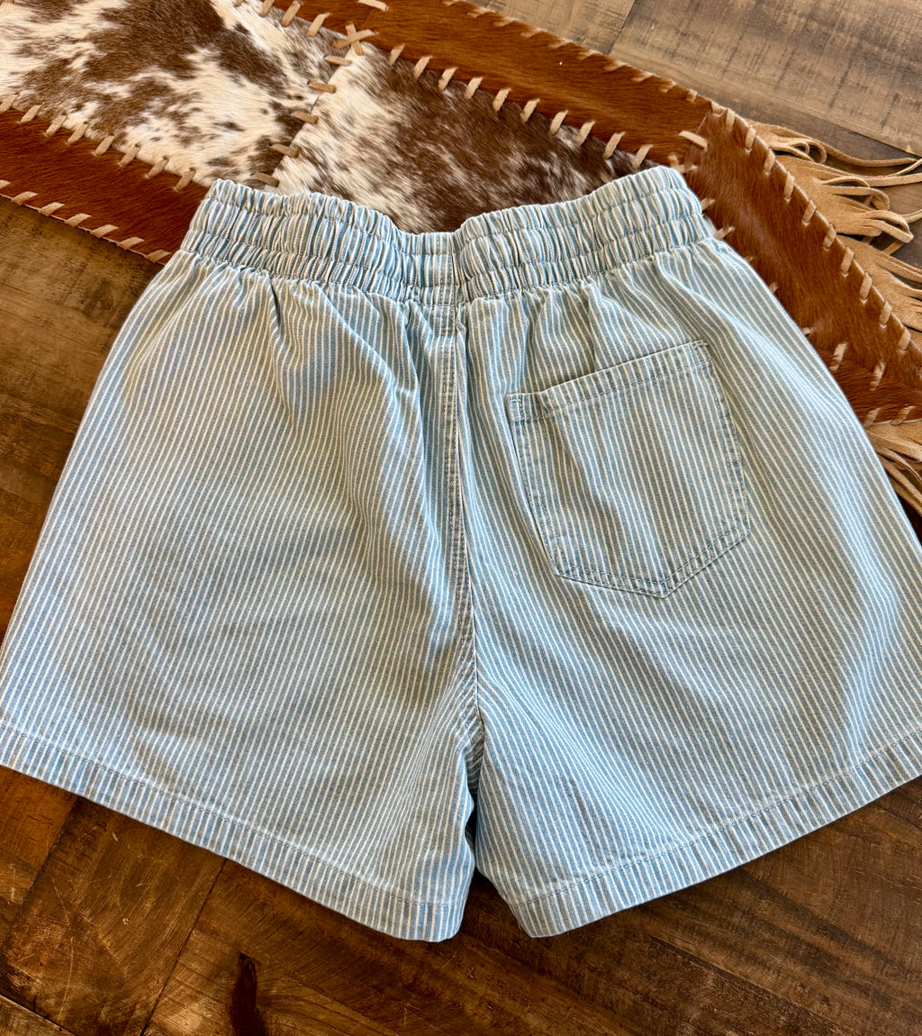 Striped Denim Shorts